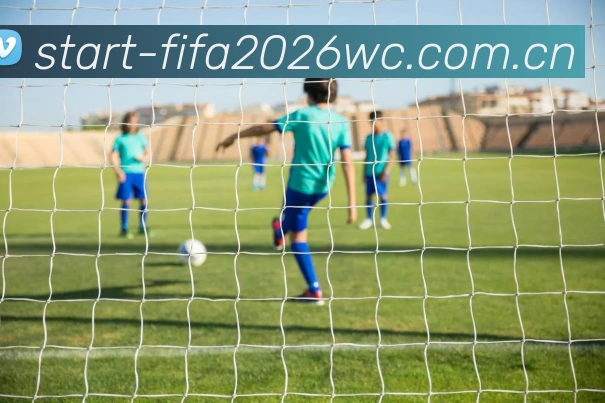 FIFA官方数据授权认证